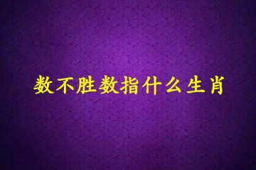 四清六活是什么生肖，四清六活打一生肖 - 生肖古