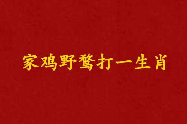 家鸡野鹜打一生肖