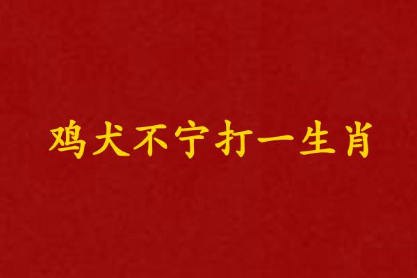 鸡犬不宁打一生肖