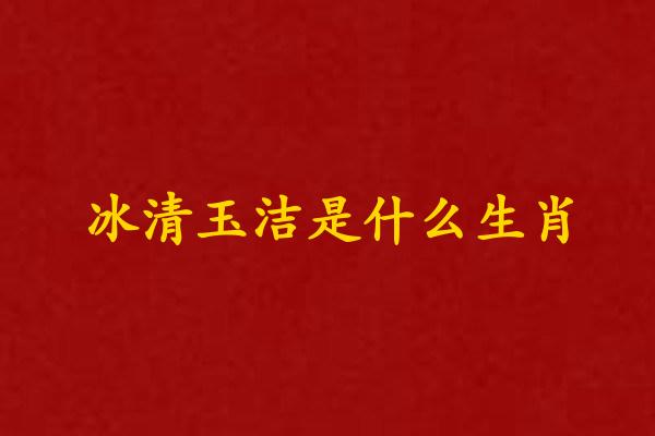 冰清玉洁是什么生肖