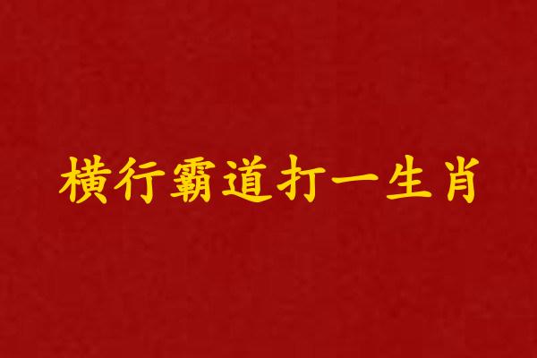 横行霸道打一生肖