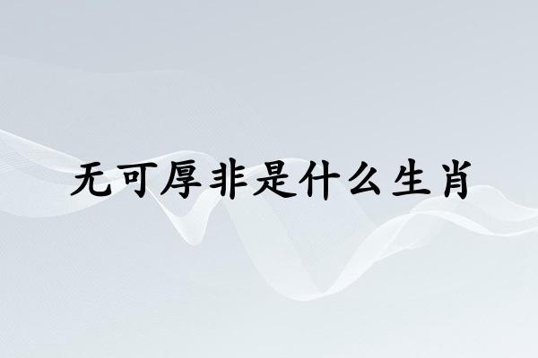 无可厚非是什么生肖