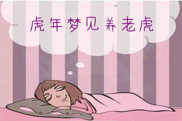 虎年梦见养老虎