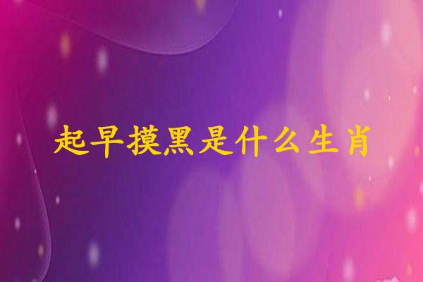 起早摸黑是什么生肖