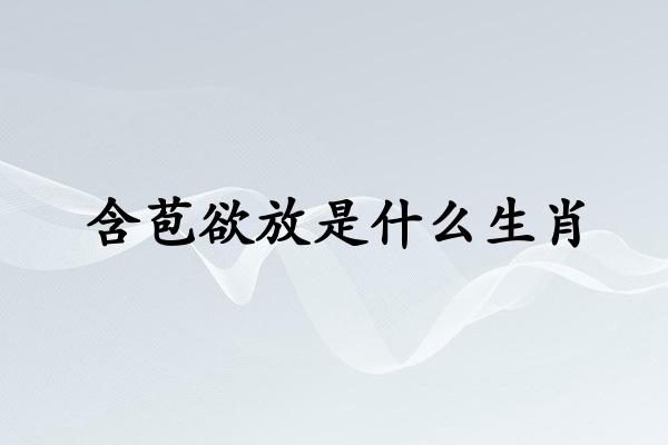 含苞欲放是什么生肖