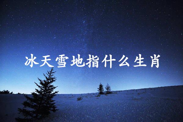 冰天雪地指什么生肖