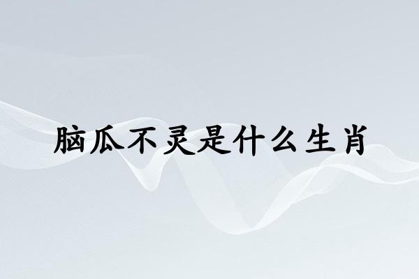 脑瓜不灵是什么生肖