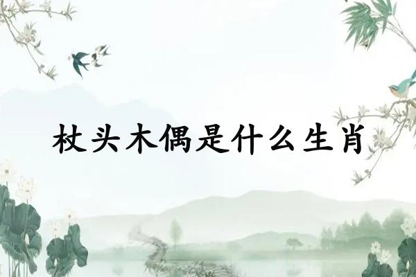 杖头木偶是什么生肖