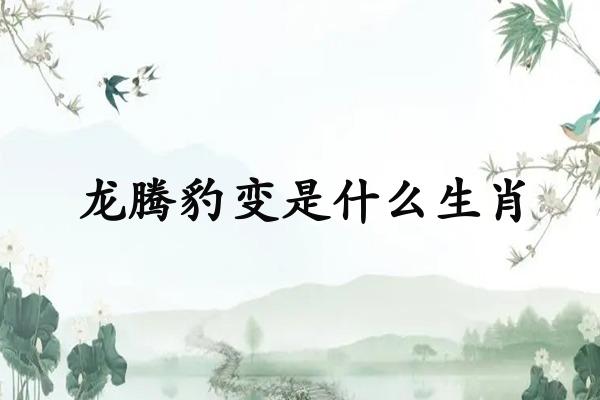 龙腾豹变是什么生肖