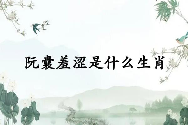 阮囊羞涩是什么生肖