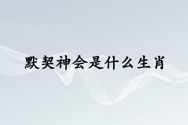 默契神会是什么生肖