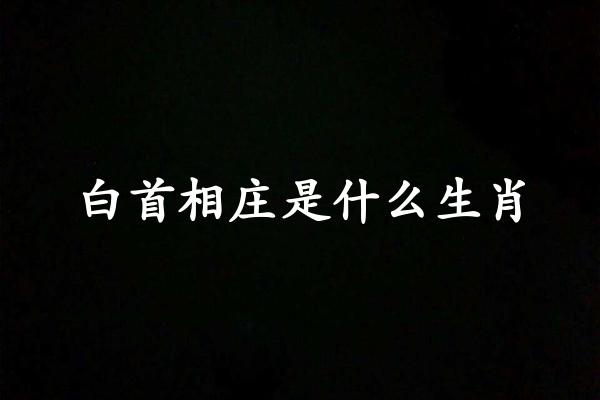 白首相庄是什么生肖