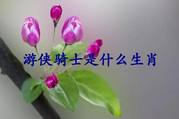 游侠骑士是什么生肖