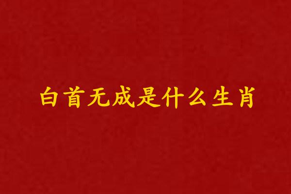 白首无成是什么生肖