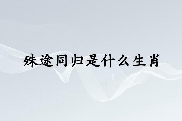 殊途同归是什么生肖