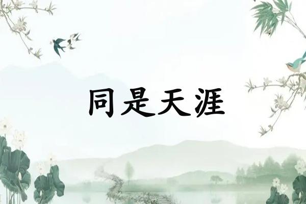 同是天涯