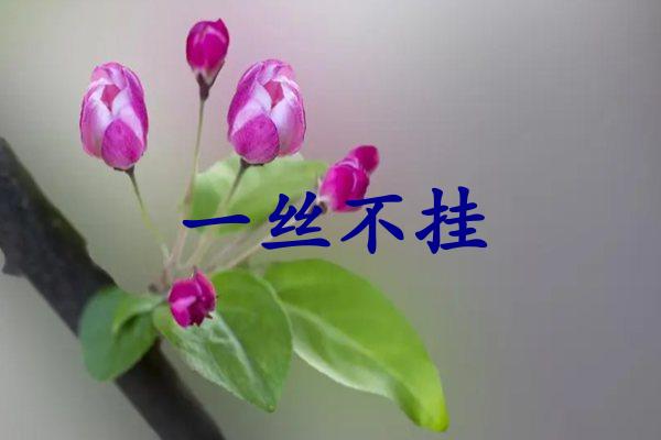 一丝不挂