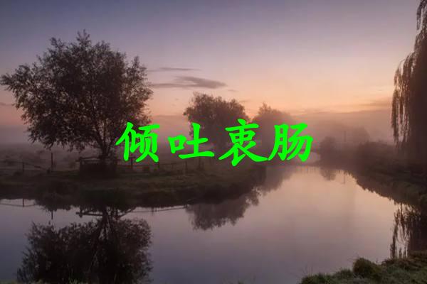 倾吐衷肠