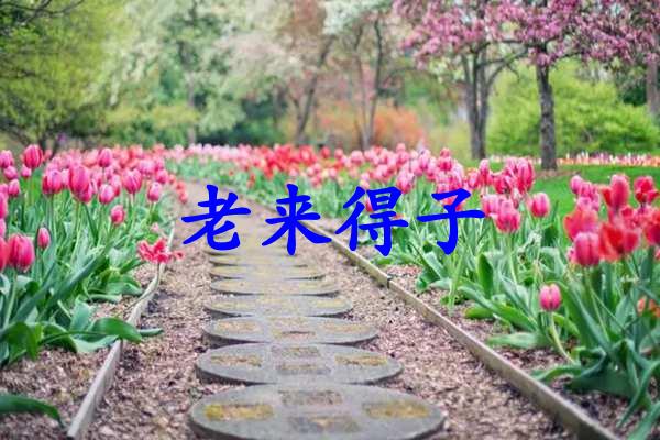 老来得子