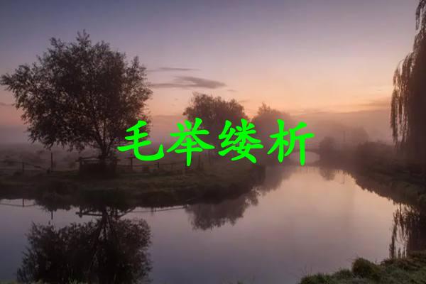 毛举缕析