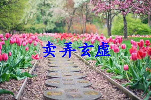 卖弄玄虚
