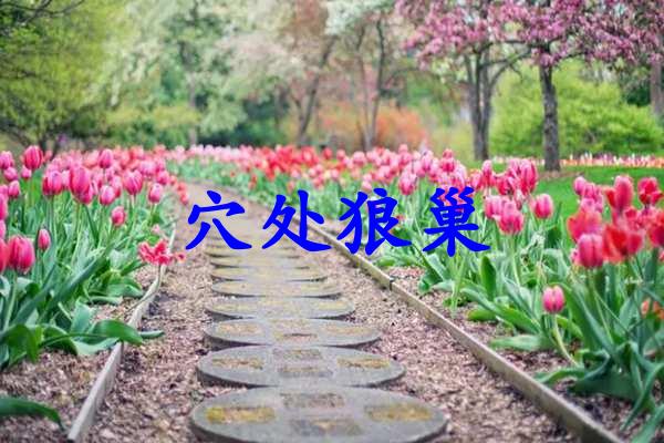 穴处狼巢