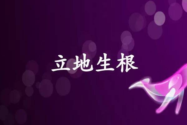 立地生根