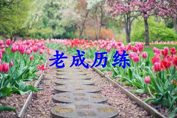 老成历练