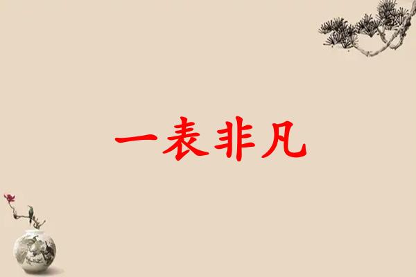 一表非凡