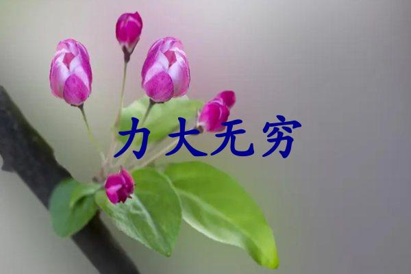 力大无穷