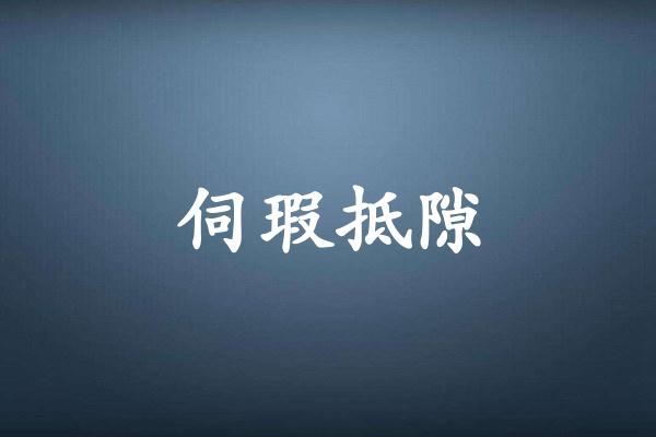 伺瑕抵隙