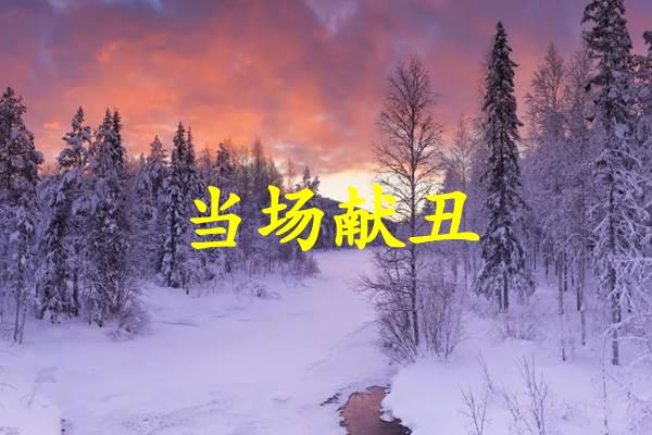 当场献丑