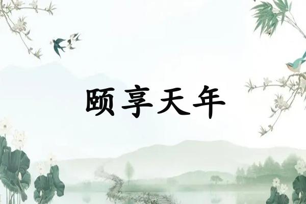 颐享天年