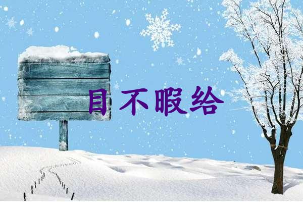 目不暇给
