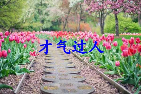 才气过人