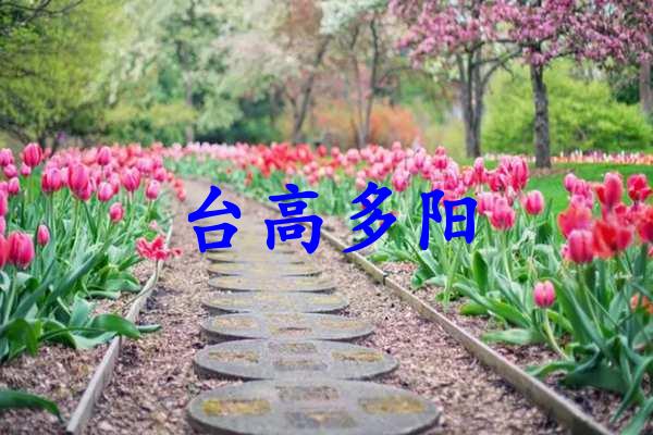 台高多阳