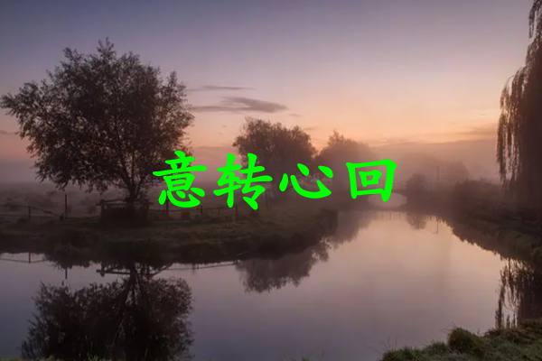 意转心回