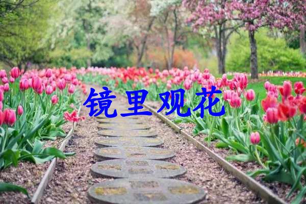 镜里观花