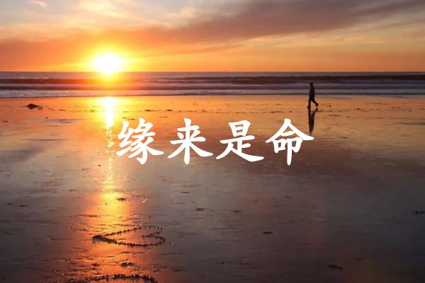 缘来是命