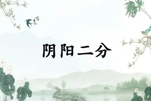 阴阳二分
