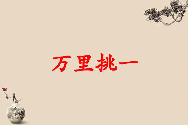 万里挑一