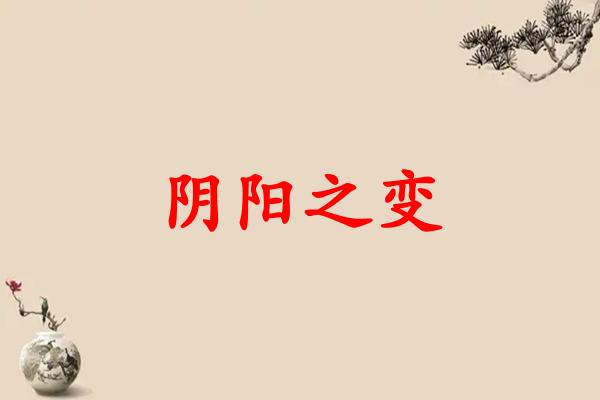 阴阳之变