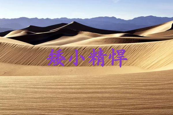 矮小精悍