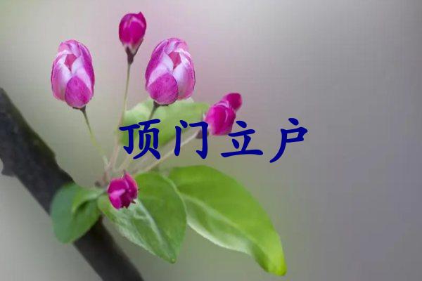 顶门立户