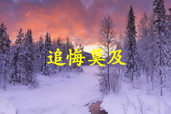 追悔莫及是什么生肖（追悔莫及打一生肖）