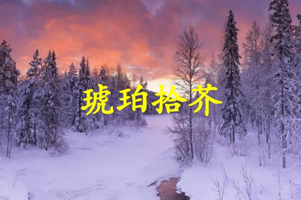 琥珀拾芥