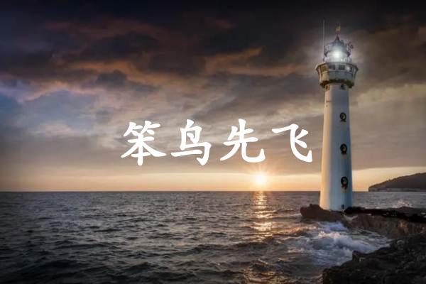 笨鸟先飞