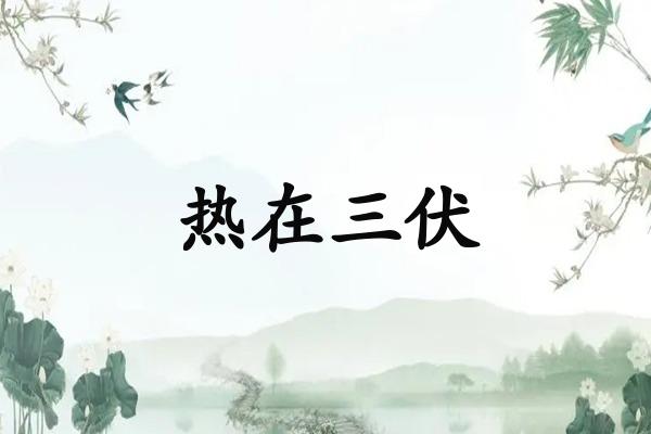 热在三伏