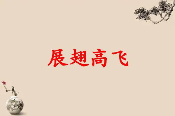 展翅高飞