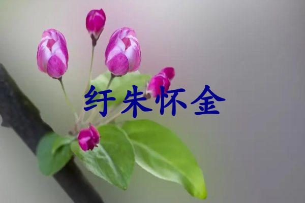 纡朱怀金